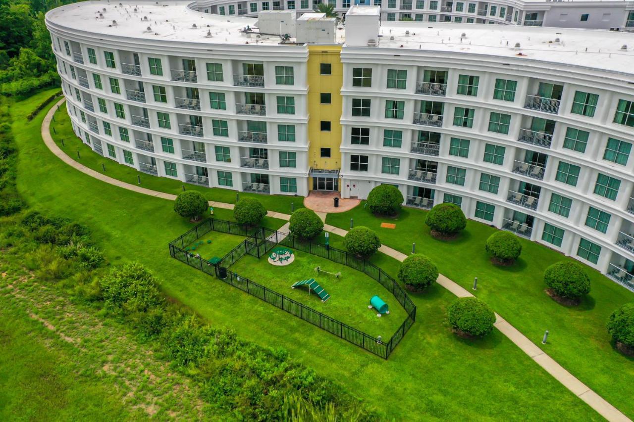 Pet Friendly In Orlando Area Near Disney Селабрейшън Екстериор снимка